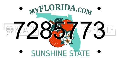 7285773 Florida License Plate