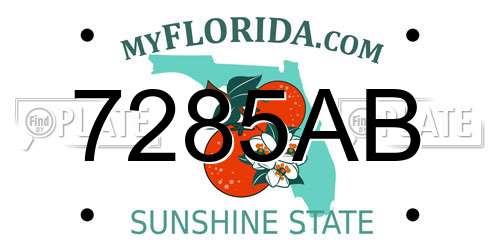 7285AB Florida License Plate