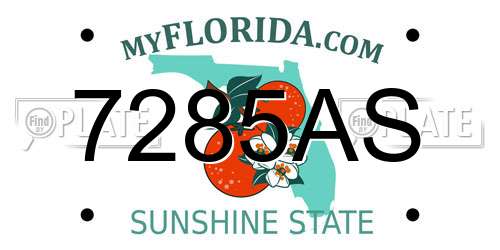 7285AS Florida License Plate