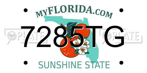 7285TG Florida License Plate