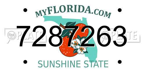 7287263 Florida License Plate