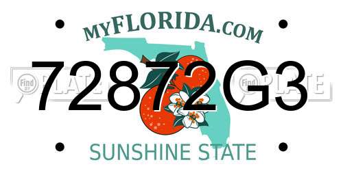 72872G3 Florida License Plate
