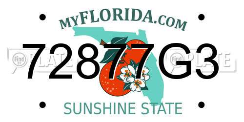 72877G3 Florida License Plate