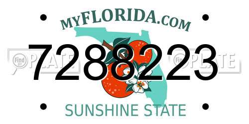 7288223 Florida License Plate