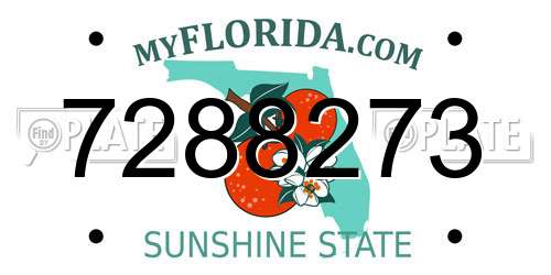 7288273 Florida License Plate