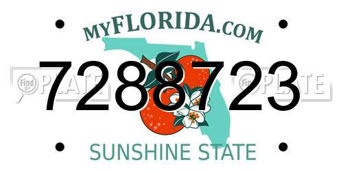 7288723 Florida License Plate