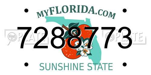 7288773 Florida License Plate