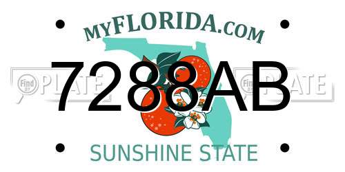 7288AB Florida License Plate