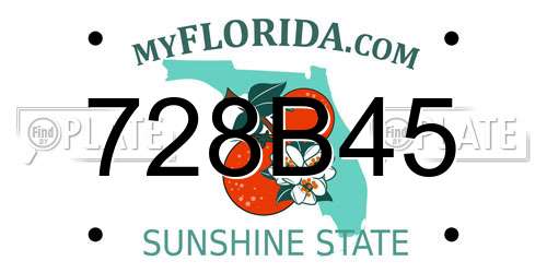 728B45 Florida License Plate