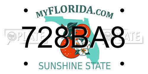 728BA8 Florida License Plate