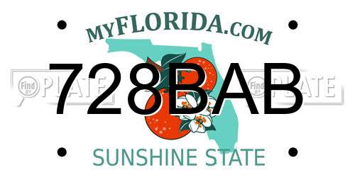 728BAB Florida License Plate