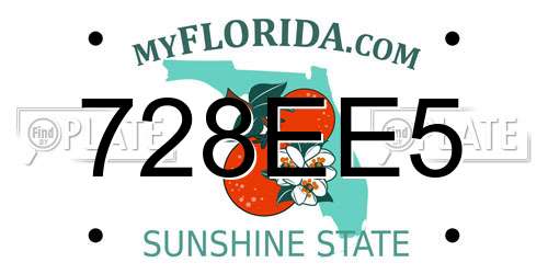 728EE5 Florida License Plate