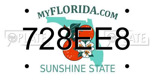 728EE8 Florida License Plate