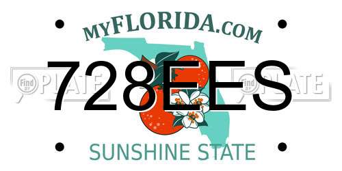 728EES Florida License Plate