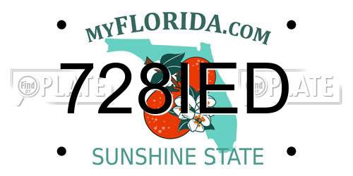 728IED Florida License Plate