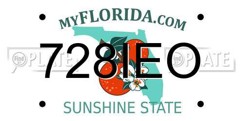 728IEO Florida License Plate
