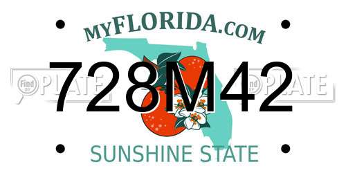 728M42 Florida License Plate