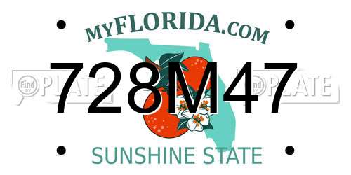 728M47 Florida License Plate