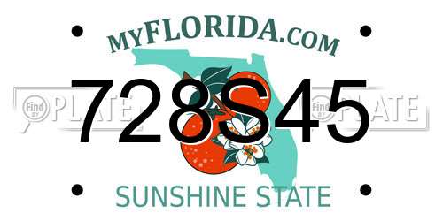 728S45 Florida License Plate