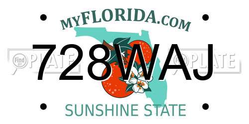 728WAJ Florida License Plate