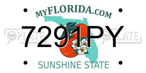 7291PY Florida License Plate