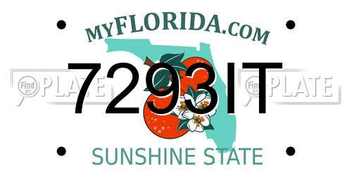 7293IT Florida License Plate