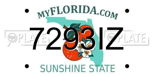 7293IZ Florida License Plate