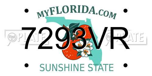 7293VR Florida License Plate