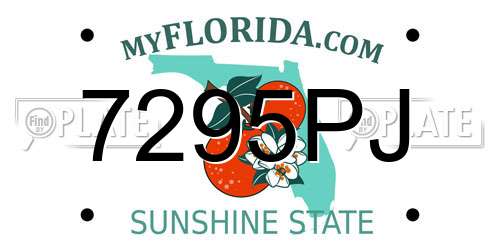 7295PJ Florida License Plate