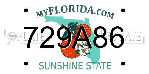729A86 Florida License Plate