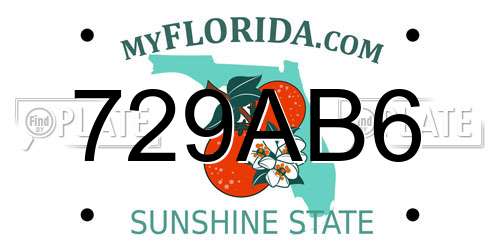 729AB6 Florida License Plate
