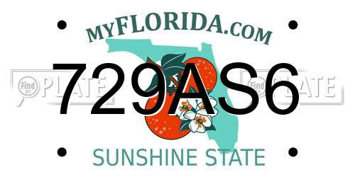 729AS6 Florida License Plate