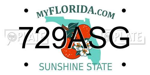 729ASG Florida License Plate