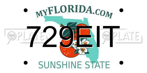 729EIT Florida License Plate