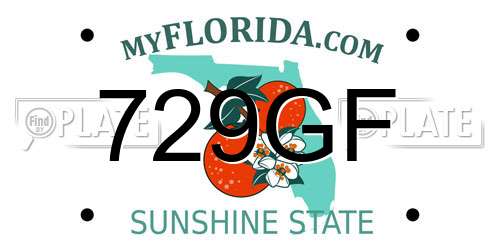 729GF Florida License Plate