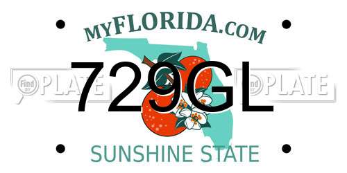 729GL Florida License Plate