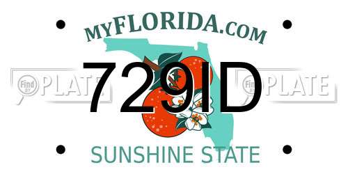 729ID Florida License Plate