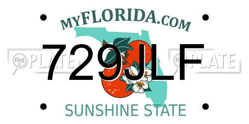 729JLF Florida License Plate