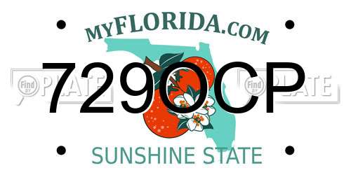 729OCP Florida License Plate