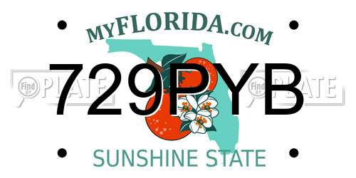 729PYB Florida License Plate