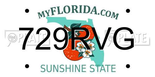729RVG Florida License Plate