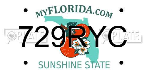 729RYC Florida License Plate