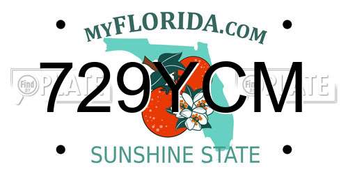 729YCM Florida License Plate