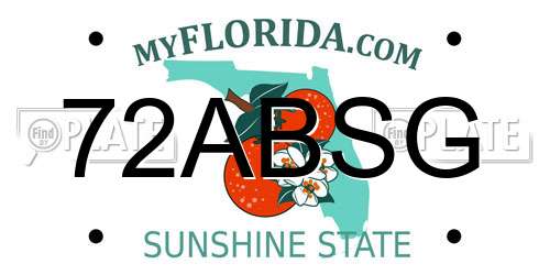 72ABSG Florida License Plate