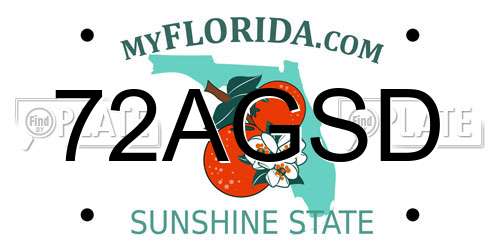 72AGSD Florida License Plate