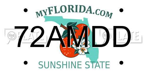 72AMDD Florida License Plate