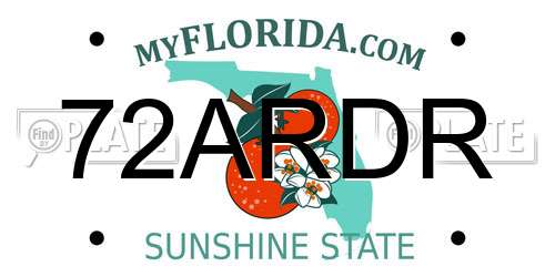 72ARDR Florida License Plate
