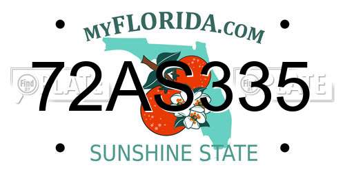 72AS335 Florida License Plate