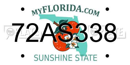 72AS338 Florida License Plate
