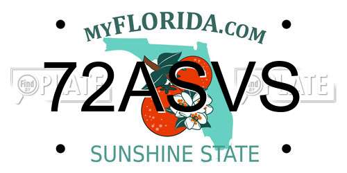 72ASVS Florida License Plate